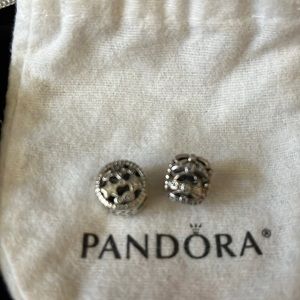 Pandora (retired) Charms